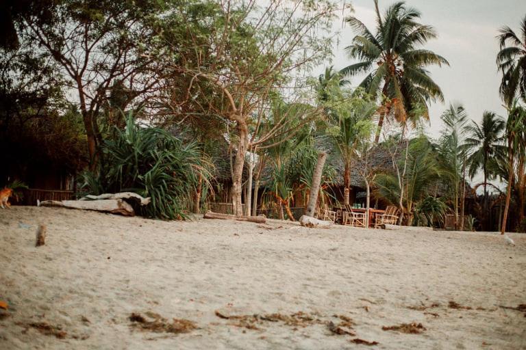 Ushongo Beach Bandas Pangani Bagian luar foto